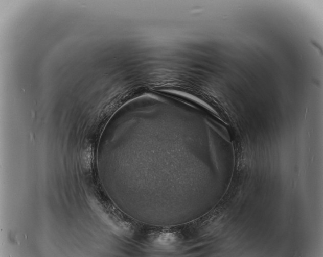 X0000103250647200809041110