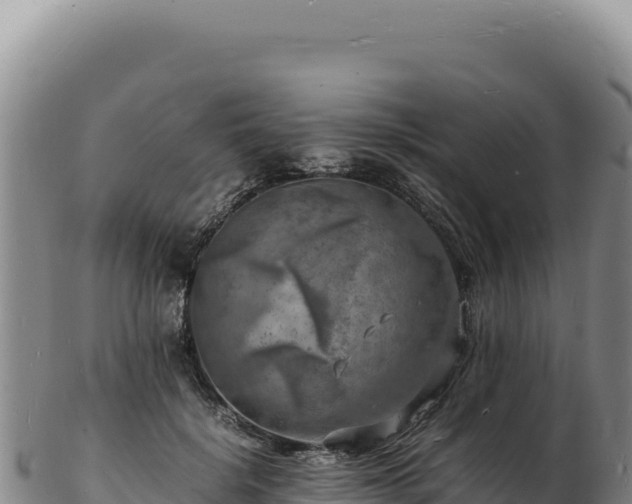 X0000103250652200809041110