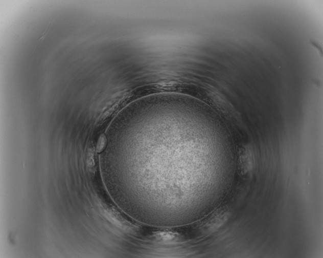 X0000103250654200809041110