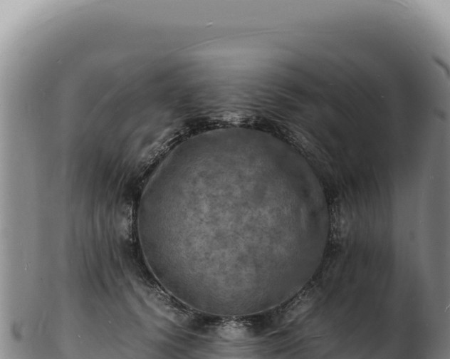 X0000103250656200809041110