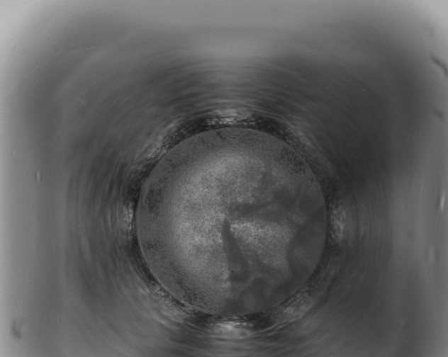 X0000103250657200809041110