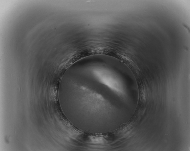 X0000103250661200809041110