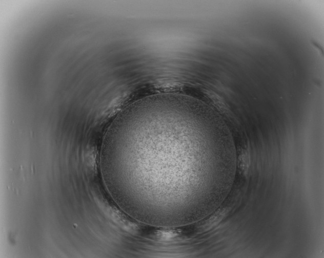 X0000103250662200809041110