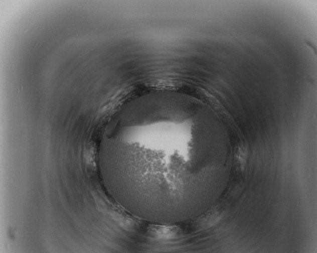 X0000103250663200809041110