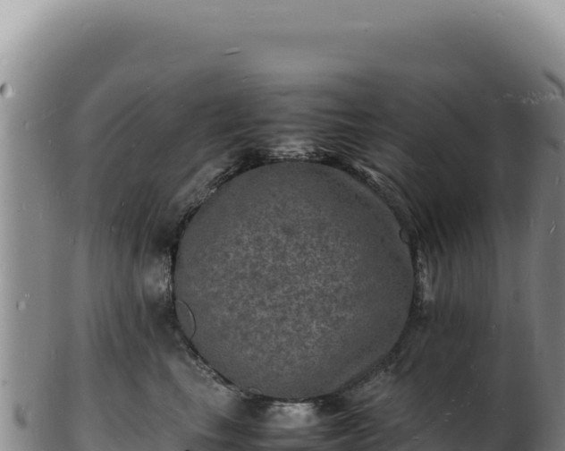 X0000103250665200809041110