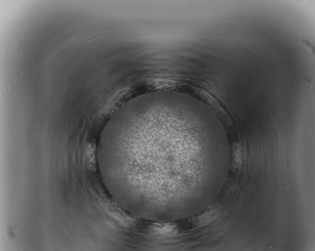 X0000103250667200809041110