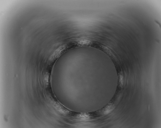 X0000103250668200809041110