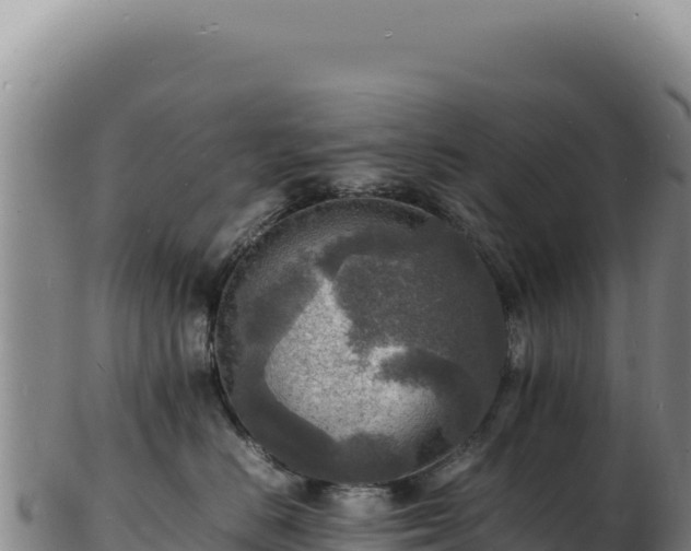 X0000103250670200809041110