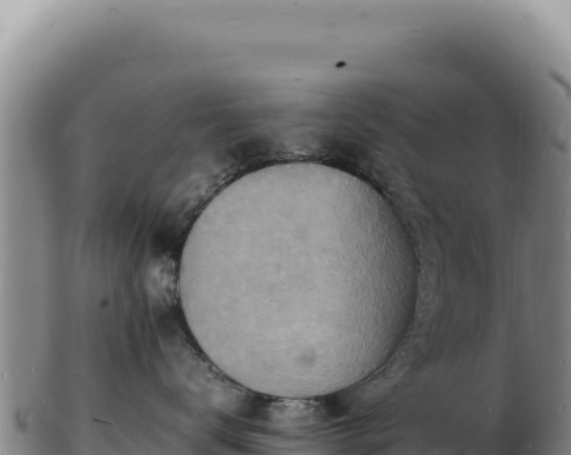X0000103250672200809041110
