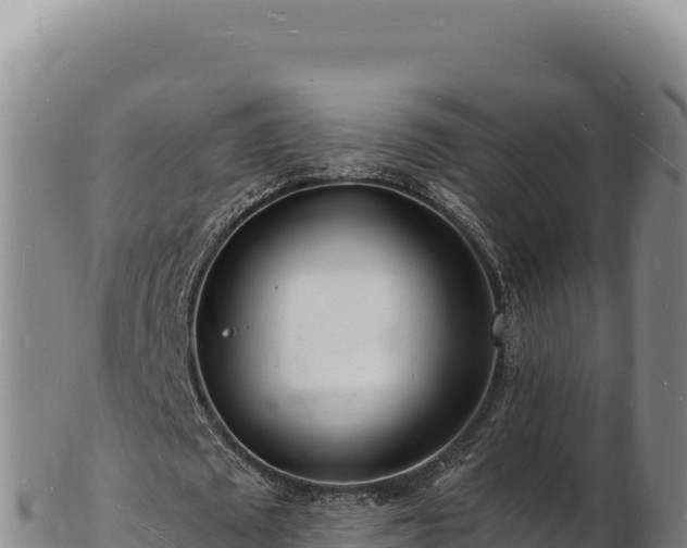 X0000103250673200809041109