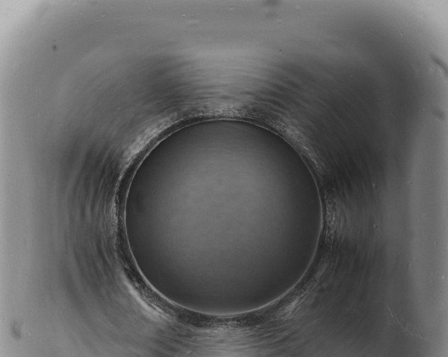 X0000103250674200809041109