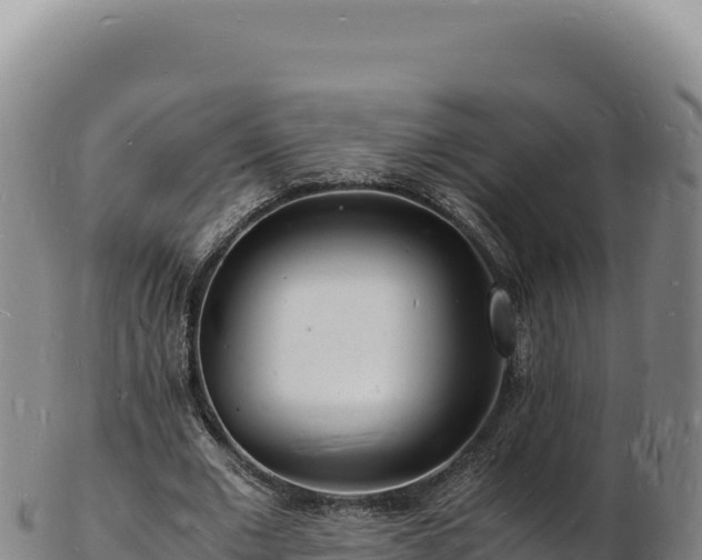 X0000103250677200809041109