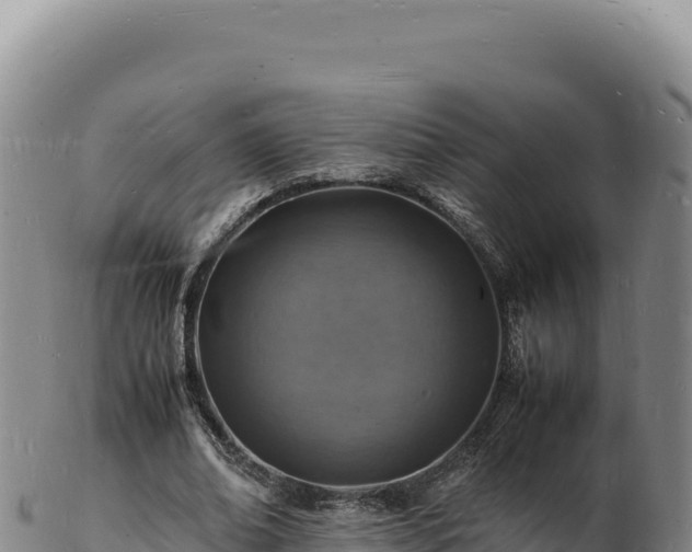 X0000103250678200809041109