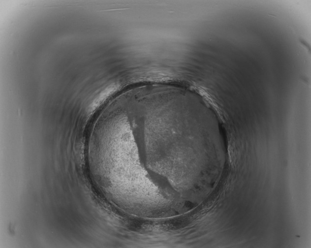 X0000103250679200809041109