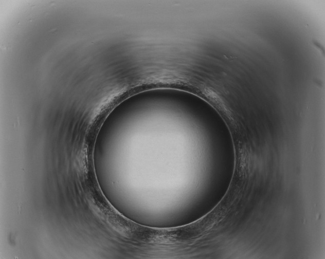 X0000103250680200809041109