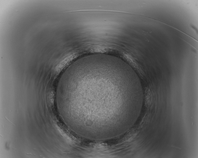 X0000103250683200809041109