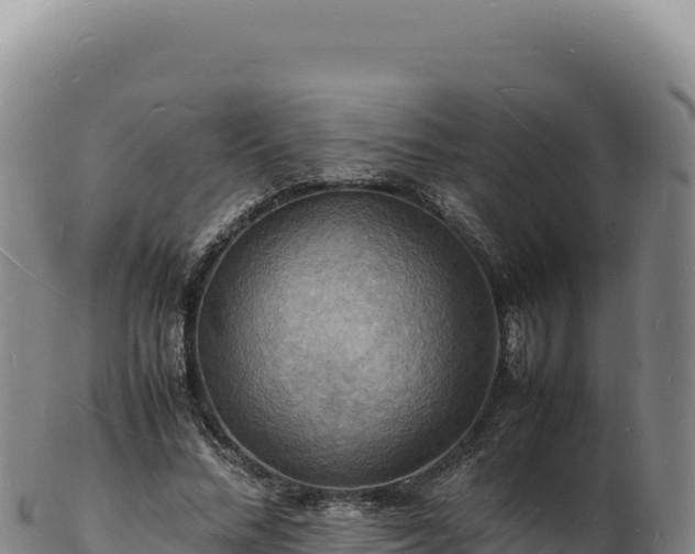 X0000103250684200809041109