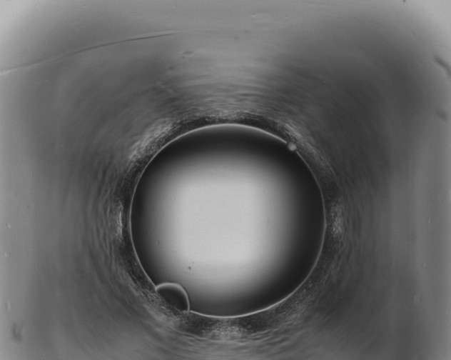 X0000103250685200809041109