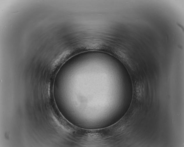X0000103250686200809041109