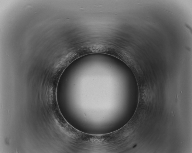 X0000103250690200809041109