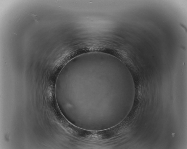 X0000103250691200809041109