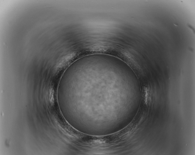 X0000103250692200809041109