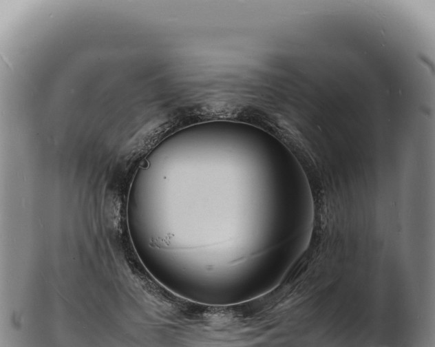 X0000103250693200809041109