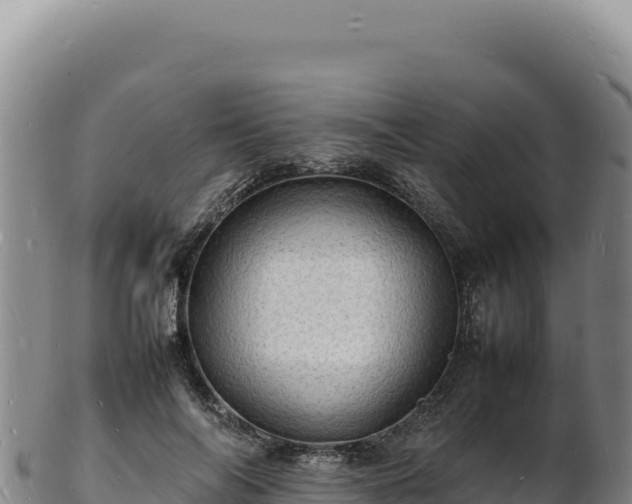 X0000103250694200809041109