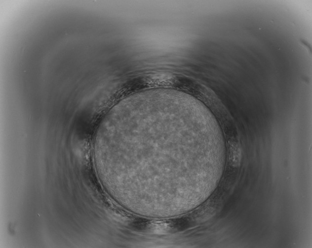 X0000103250701200809041109