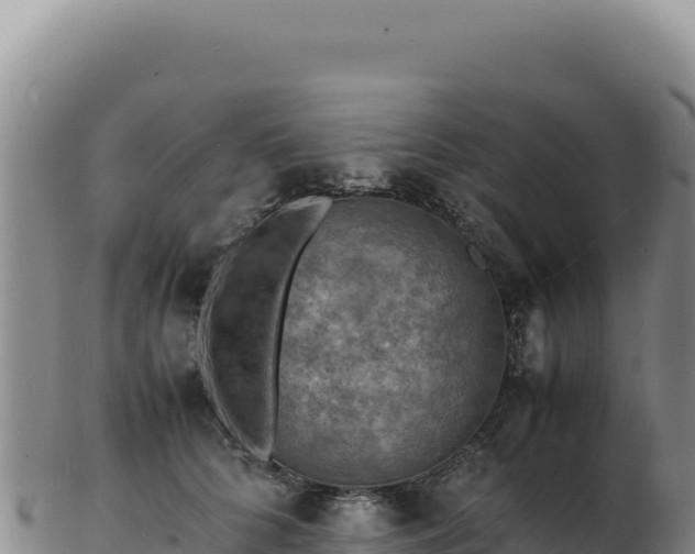 X0000103250704200809041109