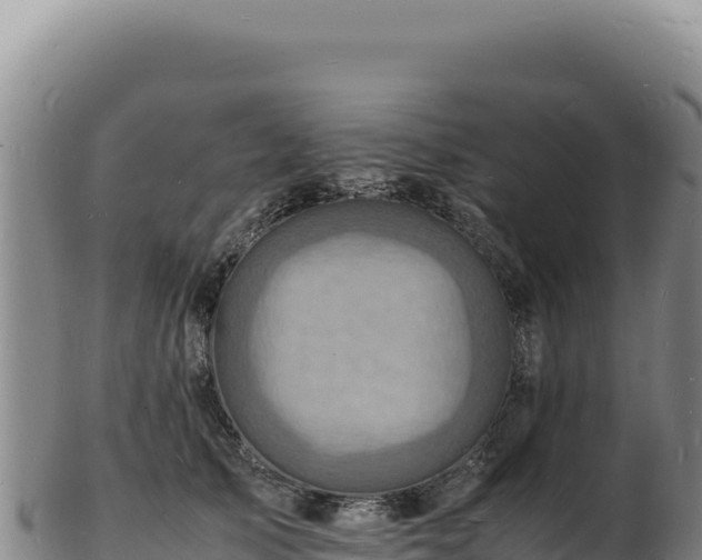 X0000103250705200809041109