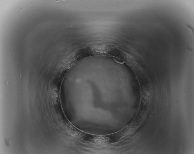 X0000103250707200809041109