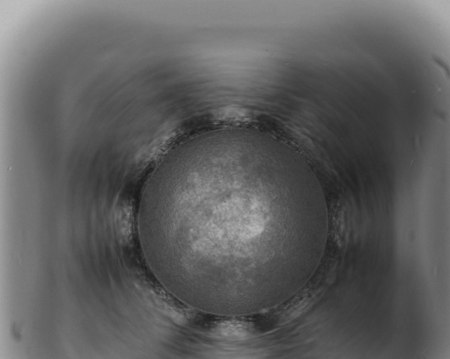 X0000103250708200809041109