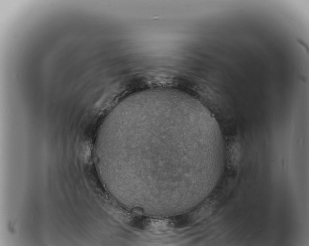 X0000103250709200809041109