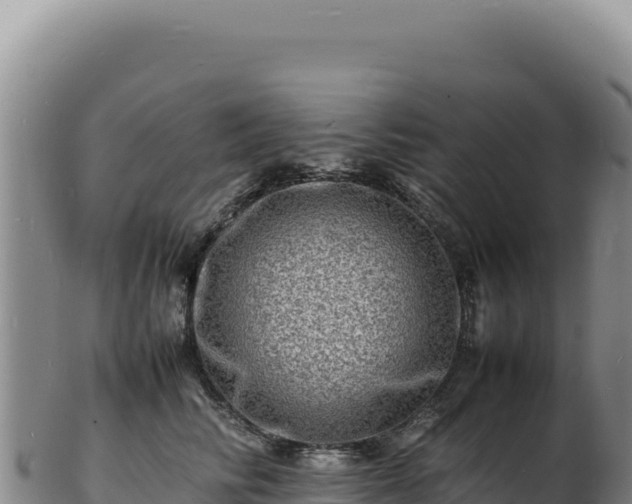 X0000103250710200809041109