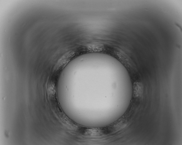 X0000103250713200809041109