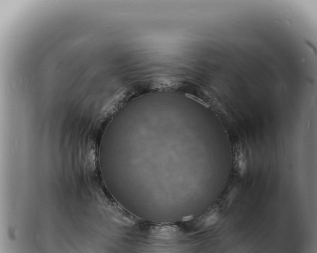 X0000103250716200809041109