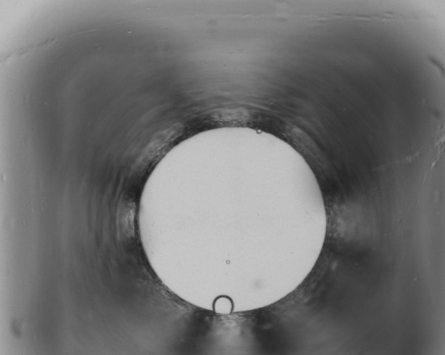X0000103250717200809041109