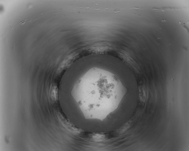 X0000103250718200809041109