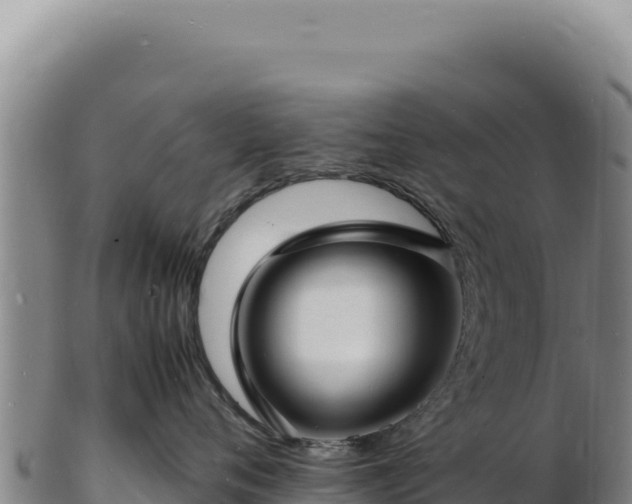 X0000103250720200809041109