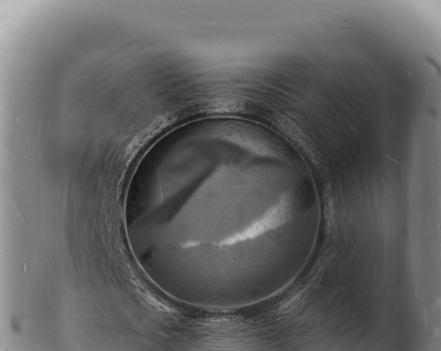 X0000103250721200809041108