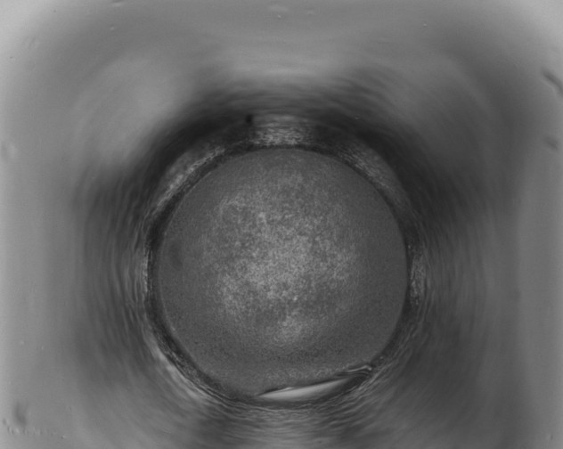 X0000103250722200809041108