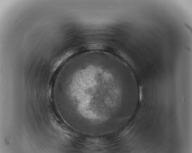 X0000103250723200809041108
