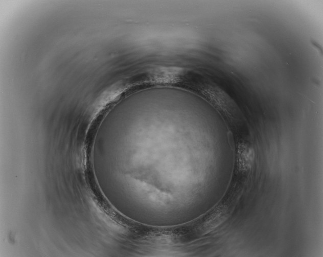 X0000103250726200809041108