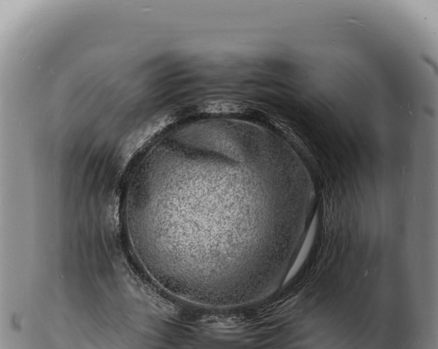 X0000103250727200809041108