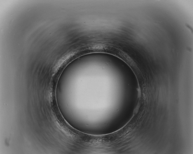 X0000103250728200809041108