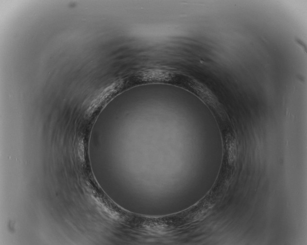 X0000103250729200809041108