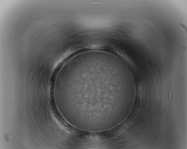 X0000103250730200809041108