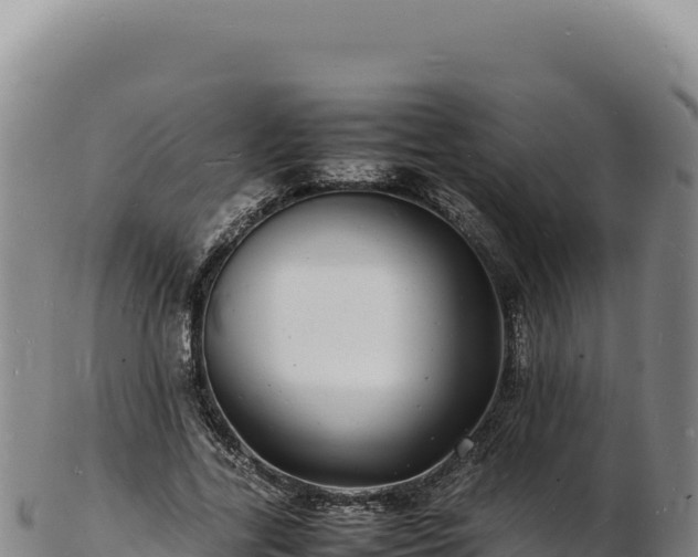 X0000103250731200809041108