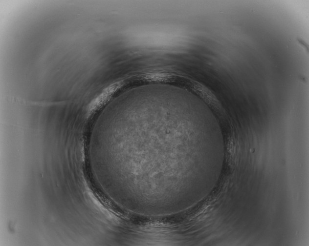 X0000103250734200809041108